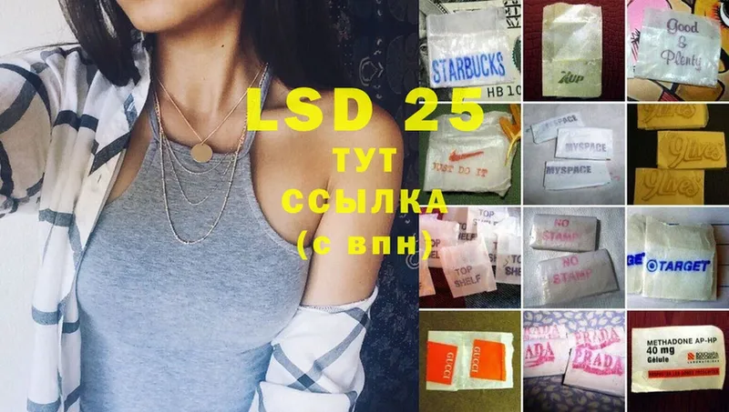 Лсд 25 экстази ecstasy  Майкоп 